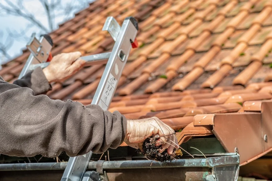 Why Regular Gutter Cleaning Prevents Roof Damage Greenville, SC