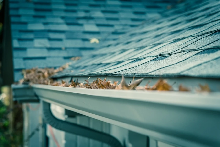 Why Regular Gutter Cleaning Prevents Roof Damage in Greenville, SC